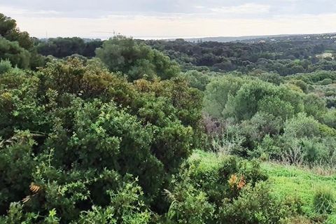 Helårsgrund i Sotogrande, Cadiz, Sotogrande - € 685.000 | Ref: ED-RR2239 - foto 23