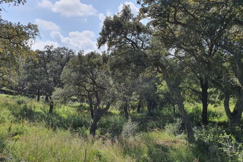 Helårsgrund i Sotogrande, Cadiz, Sotogrande - € 725.000 | Ref: ED-RR2240 - foto 2