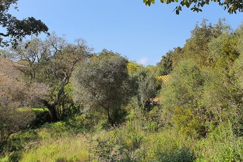 Helårsgrund i Sotogrande, Cadiz, Sotogrande - € 725.000 | Ref: ED-RR2240 - foto 5