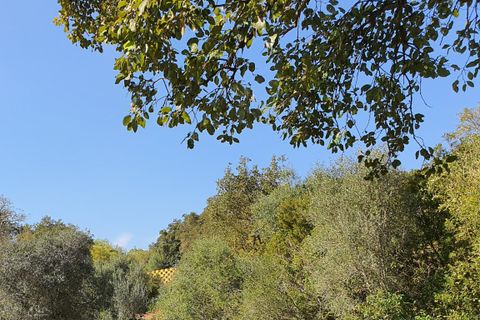 Helårsgrund i Sotogrande, Cadiz, Sotogrande - € 725.000 | Ref: ED-RR2240 - foto 7