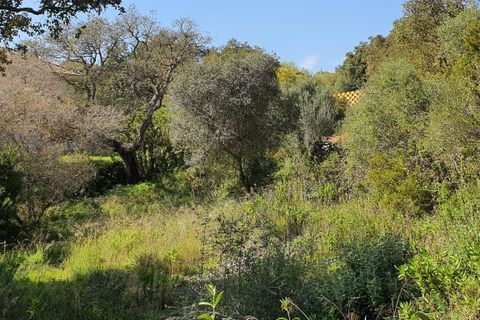 Helårsgrund i Sotogrande, Cadiz, Sotogrande - € 725.000 | Ref: ED-RR2240 - foto 10