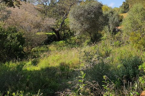 Helårsgrund i Sotogrande, Cadiz, Sotogrande - € 725.000 | Ref: ED-RR2240 - foto 11