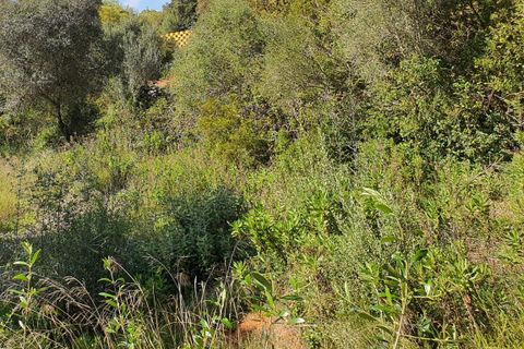 Helårsgrund i Sotogrande, Cadiz, Sotogrande - € 725.000 | Ref: ED-RR2240 - foto 22