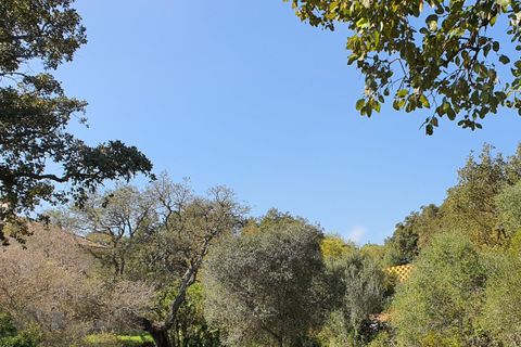 Helårsgrund i Sotogrande, Cadiz, Sotogrande - € 725.000 | Ref: ED-RR2240 - foto 24