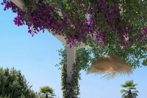 Villa i Mijas Costa, Malaga, Mijas Costa - € 1.770.000 | Ref: ED-AC2353 - foto 13