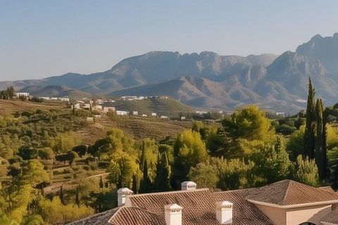 Villa a Marbella, Malaga, Marbella - € 8.500.000 | Ref: ED-RX2009 - foto 17