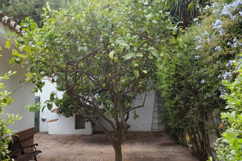 Villa a Marbella, Malaga, Marbella - € 4.500.000 | Ref: ED-BD2596 - foto 24