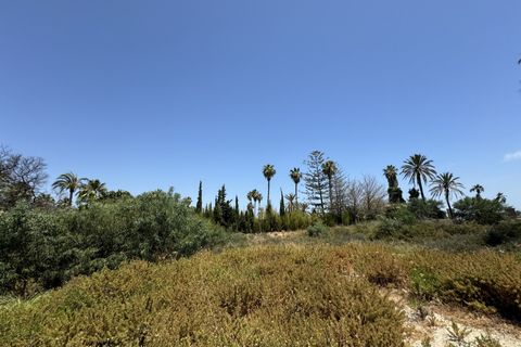 Villa a Marbella, Malaga, Marbella - € 5.250.000 | Ref: ED-BD2626 - foto 11