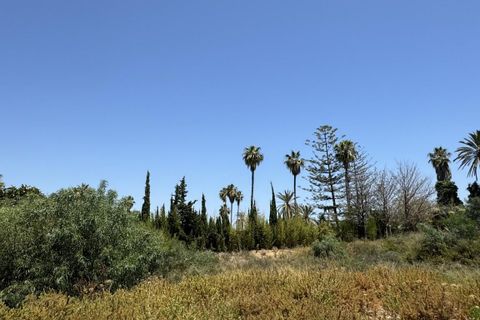 Villa a Marbella, Malaga, Marbella - € 5.250.000 | Ref: ED-BD2626 - foto 30