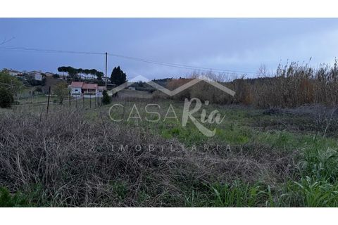 Helårsgrund i Mealhada, Aveiro, Mealhada - € 35.000 | Ref: CRBL1012 - foto 2