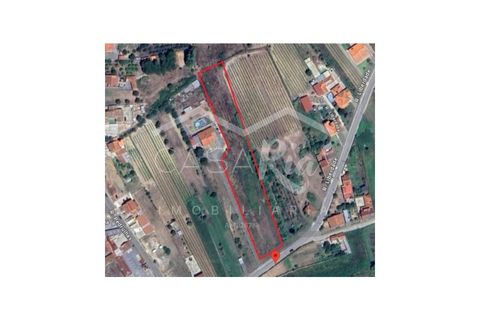 Helårsgrund i Mealhada, Aveiro, Mealhada - € 35.000 | Ref: CRBL1012 - foto 4