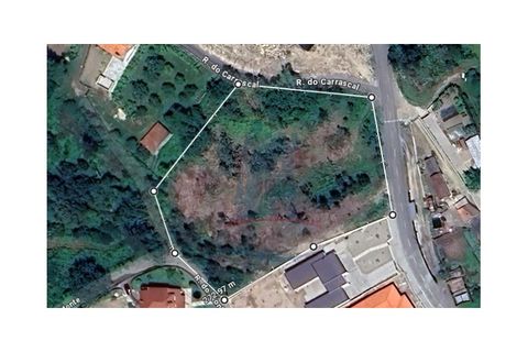 Helårsgrund i Ponte de Lima, Viana do Castelo, Ponte de Lima - € 190.000 | Ref: TL039 - foto 2