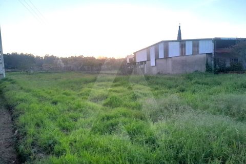 Helårsgrund i Oia, Aveiro, Oia - € 60.000 | Ref: 1012467/26 GL - foto 3