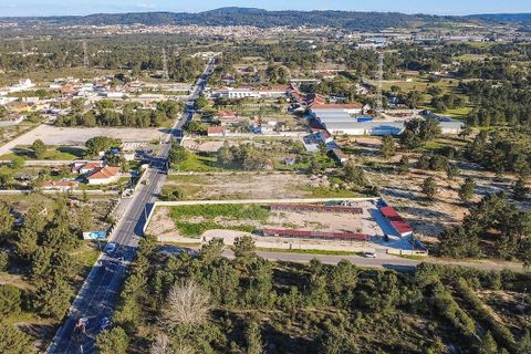 Helårsgrund i Quinta do Anjo, Setubal, Quinta do Anjo - € 335.000 | Ref: PE-123751402-8 - foto 6