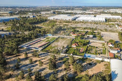 Helårsgrund i Quinta do Anjo, Setubal, Quinta do Anjo - € 335.000 | Ref: PE-123751402-8 - foto 11