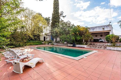 Villa i Corroios, Setubal, Corroios - € 2.350.000 | Ref: PE-123751689-55 - foto 5