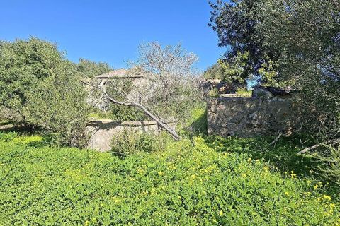 Helårsgrund i Olhao, Faro, Olhao - € 320.000 | Ref: PE-123751178-96 - foto 14