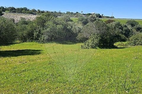 Helårsgrund i Olhao, Faro, Olhao - € 320.000 | Ref: PE-123751178-96 - foto 18