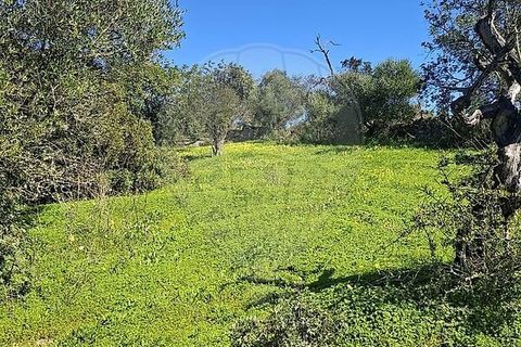 Helårsgrund i Olhao, Faro, Olhao - € 320.000 | Ref: PE-123751178-96 - foto 19