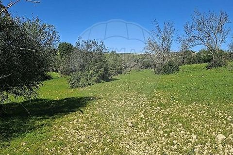 Helårsgrund i Olhao, Faro, Olhao - € 320.000 | Ref: PE-123751178-96 - foto 20