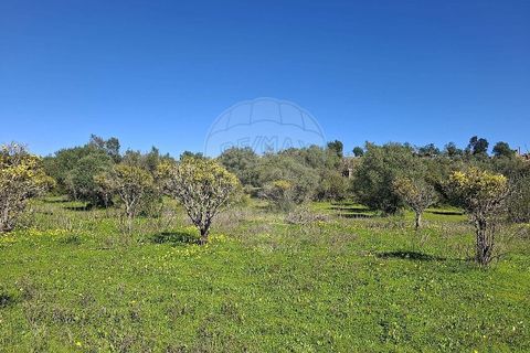Helårsgrund i Olhao, Faro, Olhao - € 320.000 | Ref: PE-123751178-96 - foto 21