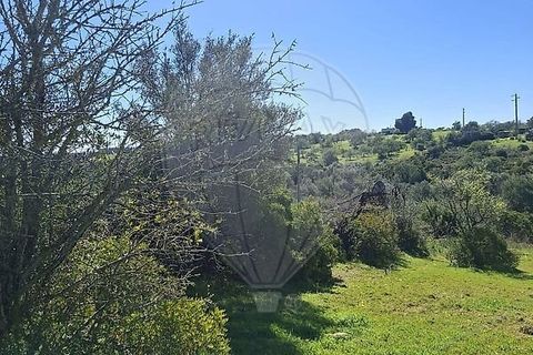 Helårsgrund i Olhao, Faro, Olhao - € 320.000 | Ref: PE-123751178-96 - foto 23
