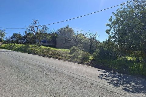 Helårsgrund i Olhao, Faro, Olhao - € 320.000 | Ref: PE-123751178-96 - foto 24