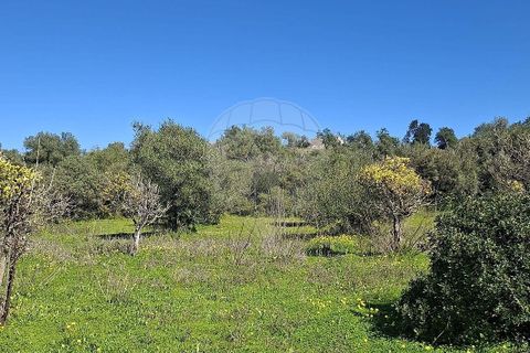 Helårsgrund i Olhao, Faro, Olhao - € 320.000 | Ref: PE-123751178-96 - foto 25