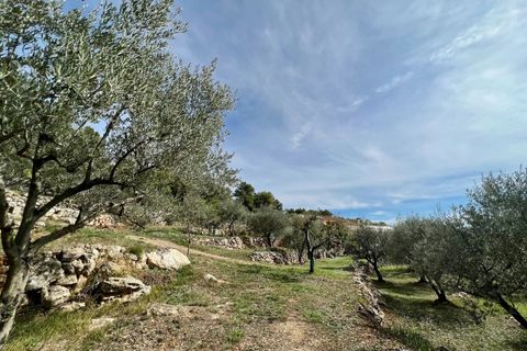 Landejendom i Callian, Var, Callian - € 798.000 | Ref: 2874 - foto 4
