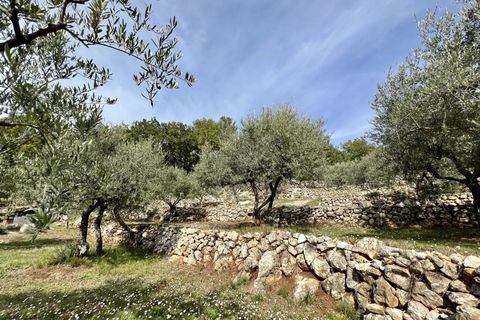 Landejendom i Callian, Var, Callian - € 798.000 | Ref: 2874 - foto 22