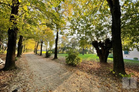 Villa i Longare, Vicenza, Longare - € 990.000 | Ref: DM07VLI - foto 22