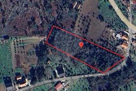 Helårsgrund i Serta, Castelo Branco, Serta - € 35.000 | Ref: 121331002-4007 - foto 1