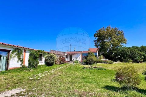 Villa i Sintra, Lisbon, Sintra - € 590.000 | Ref: 121331190-82 - foto 30