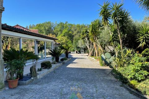 Villa i Ponte de Lima, Viana do Castelo, Ponte de Lima - € 550.000 | Ref: PTL-004-137 - foto 10