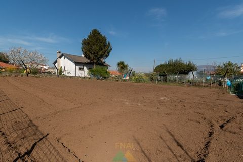 Villa i Viana do Castelo, Viana do Castelo, Viana do Castelo - € 290.000 | Ref: PTL-001-146 - foto 5