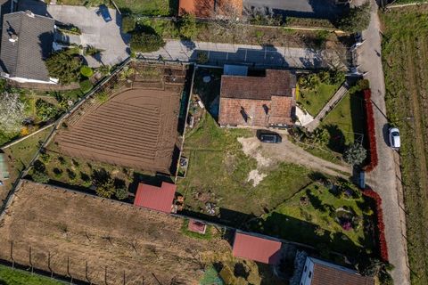 Villa i Viana do Castelo, Viana do Castelo, Viana do Castelo - € 290.000 | Ref: PTL-001-146 - foto 15