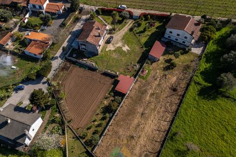 Villa i Viana do Castelo, Viana do Castelo, Viana do Castelo - € 290.000 | Ref: PTL-001-146 - foto 16