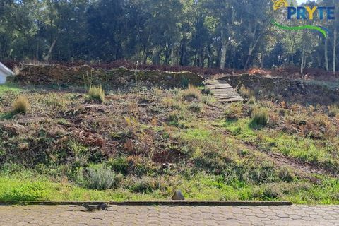 Villa i Serta, Castelo Branco, Serta - € 499.500 | Ref: MG167 - foto 8