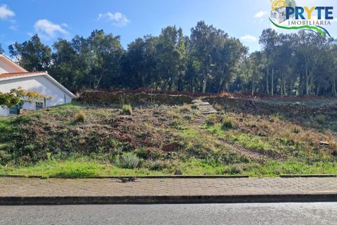 Villa i Serta, Castelo Branco, Serta - € 499.500 | Ref: MG167 - foto 9