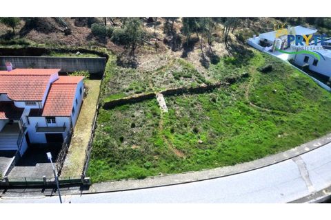 Villa i Serta, Castelo Branco, Serta - € 499.500 | Ref: MG167 - foto 11