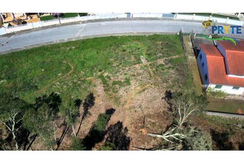 Villa i Serta, Castelo Branco, Serta - € 499.500 | Ref: MG167 - foto 15
