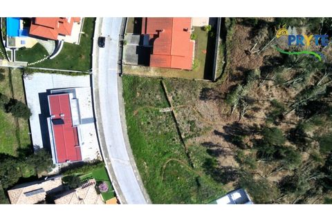 Villa i Serta, Castelo Branco, Serta - € 499.500 | Ref: MG167 - foto 16