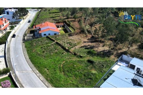 Villa i Serta, Castelo Branco, Serta - € 499.500 | Ref: MG167 - foto 18