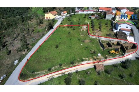 Villa i Serta, Castelo Branco, Serta - € 290.000 | Ref: MG165 - foto 7