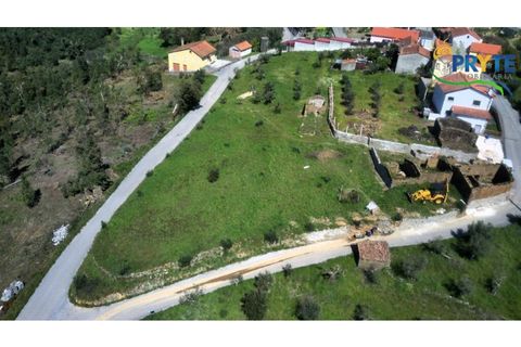 Villa i Serta, Castelo Branco, Serta - € 290.000 | Ref: MG165 - foto 8