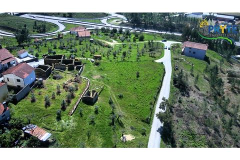 Villa i Serta, Castelo Branco, Serta - € 290.000 | Ref: MG165 - foto 10