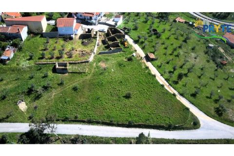 Villa i Serta, Castelo Branco, Serta - € 290.000 | Ref: MG165 - foto 11