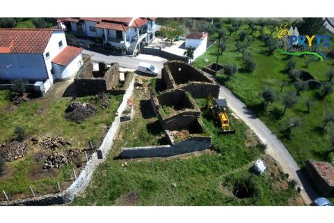 Villa i Serta, Castelo Branco, Serta - € 290.000 | Ref: MG165 - foto 12