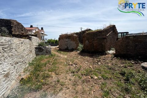 Villa i Serta, Castelo Branco, Serta - € 290.000 | Ref: MG165 - foto 25
