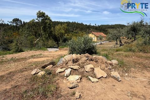 Villa i Serta, Castelo Branco, Serta - € 290.000 | Ref: MG165 - foto 34